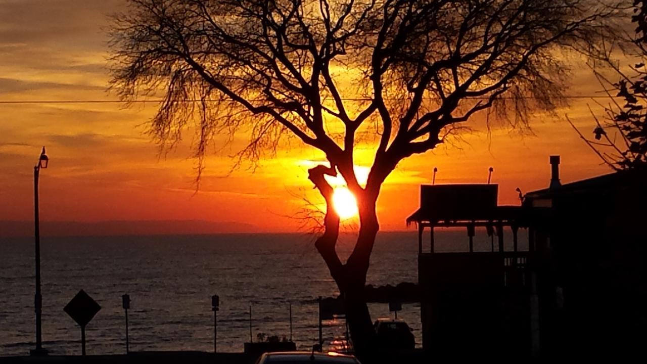 Balm Beach Resort And Motel מראה חיצוני תמונה